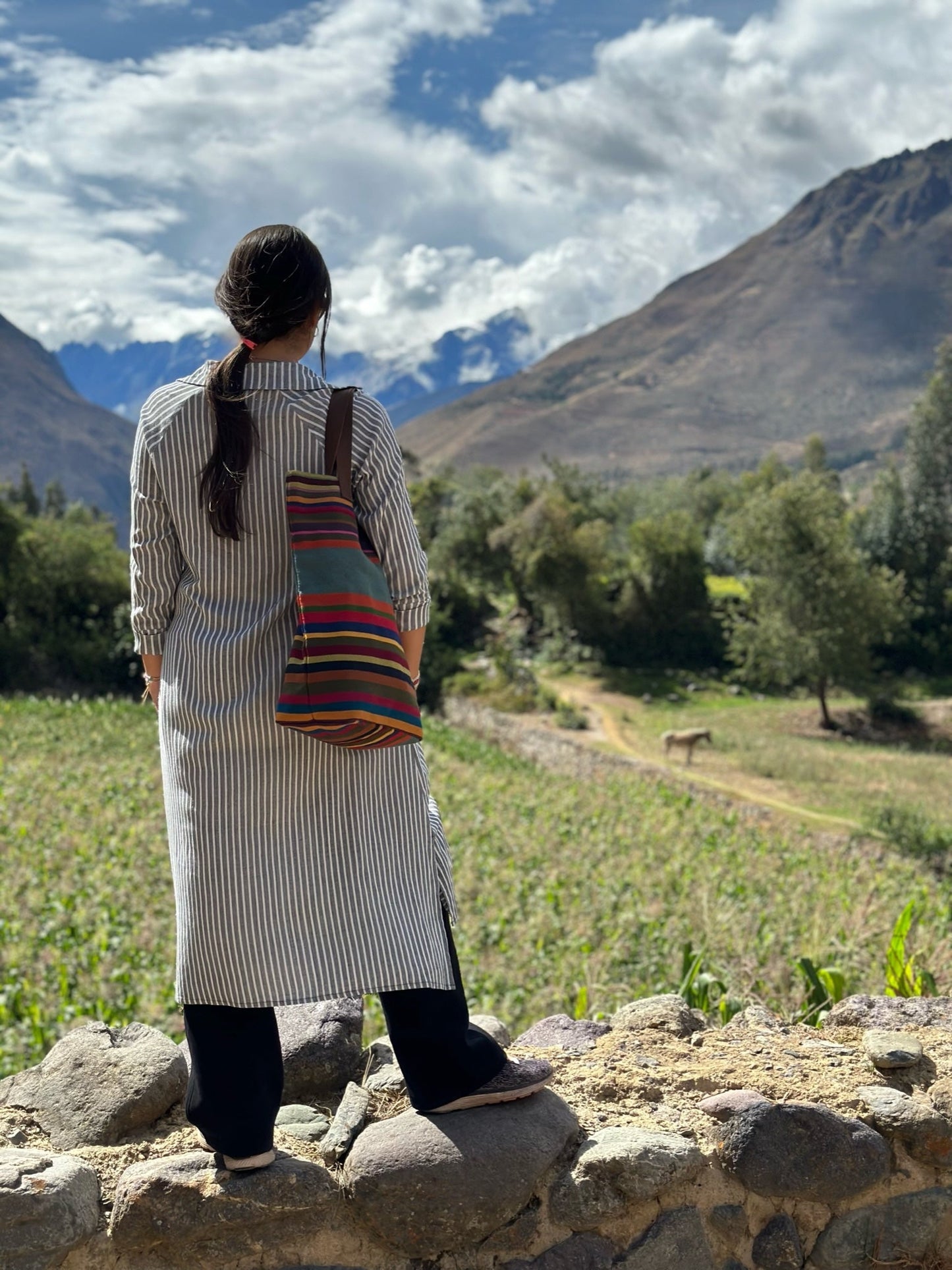 AtyQ'all VyctoriaQ' Pata Pata Tote Bag - Andenería (Quechua)